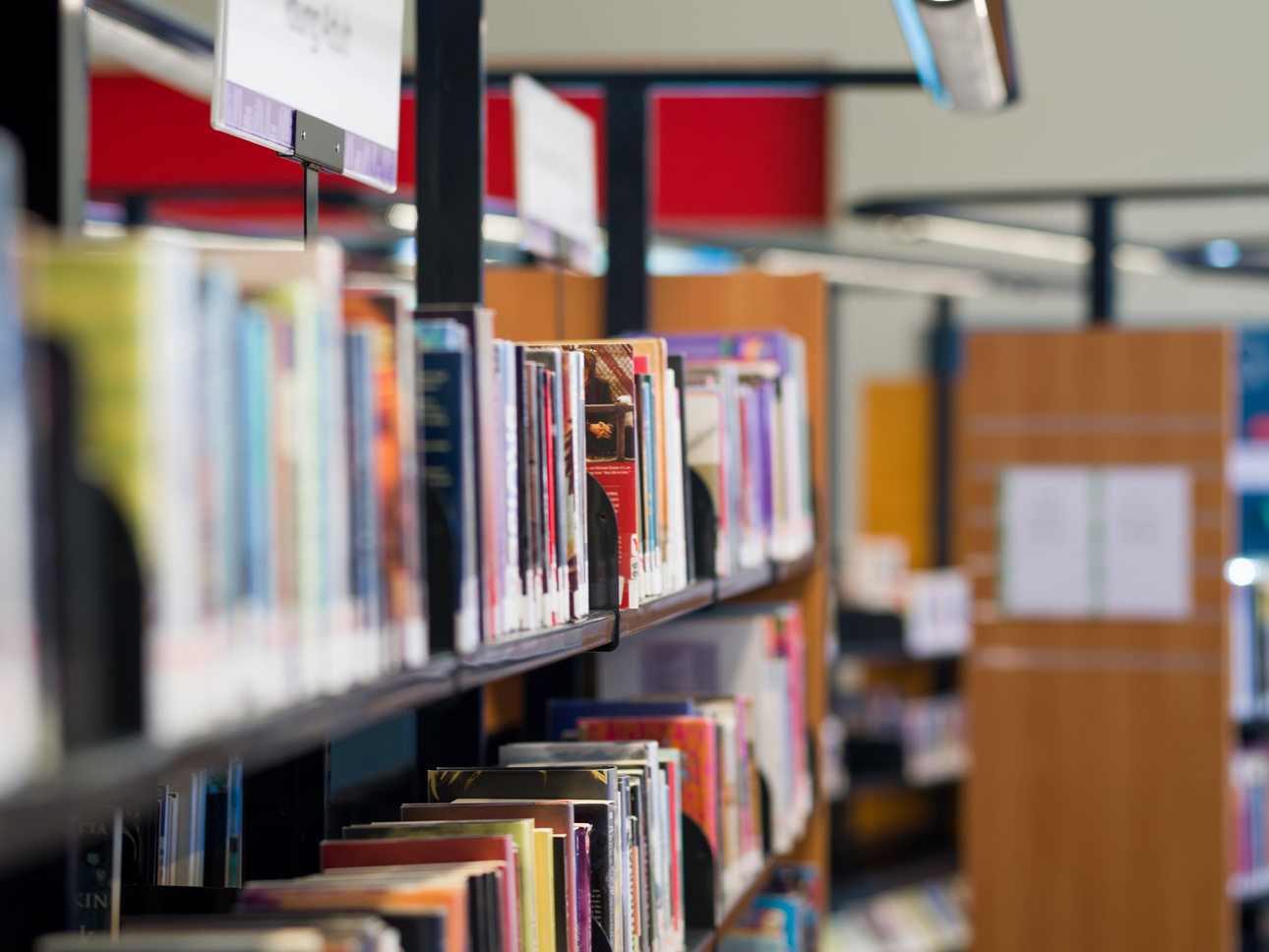 Interior of Library with Book Shelves